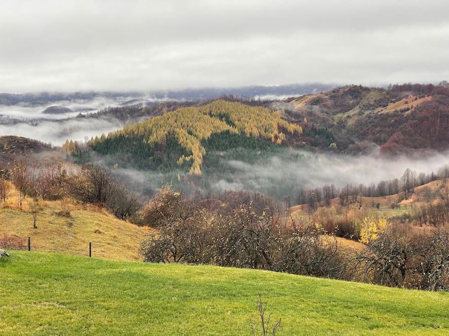 Valley View Breaza Екстериор снимка