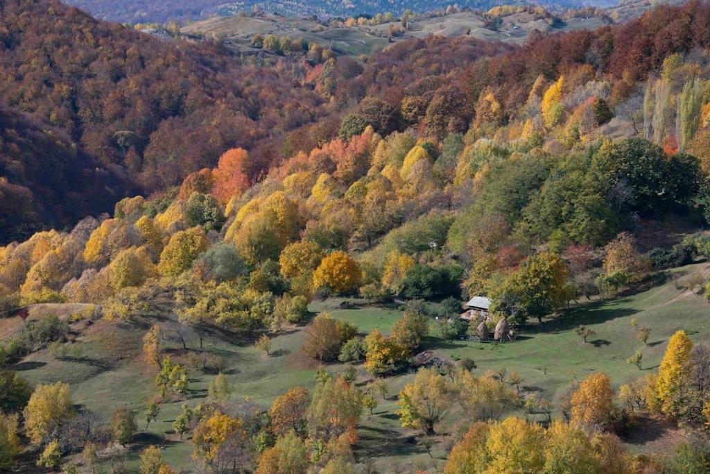 Valley View Breaza Екстериор снимка