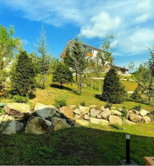 Valley View Breaza Екстериор снимка